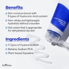 ISNTREE Hyaluronic Acid Aqua Gel Cream 2.71 fl.oz. (80ml) Night Cream, Day Cream, Deep Moisturizing, Skin Protection, Sebum Control, Smoothing |