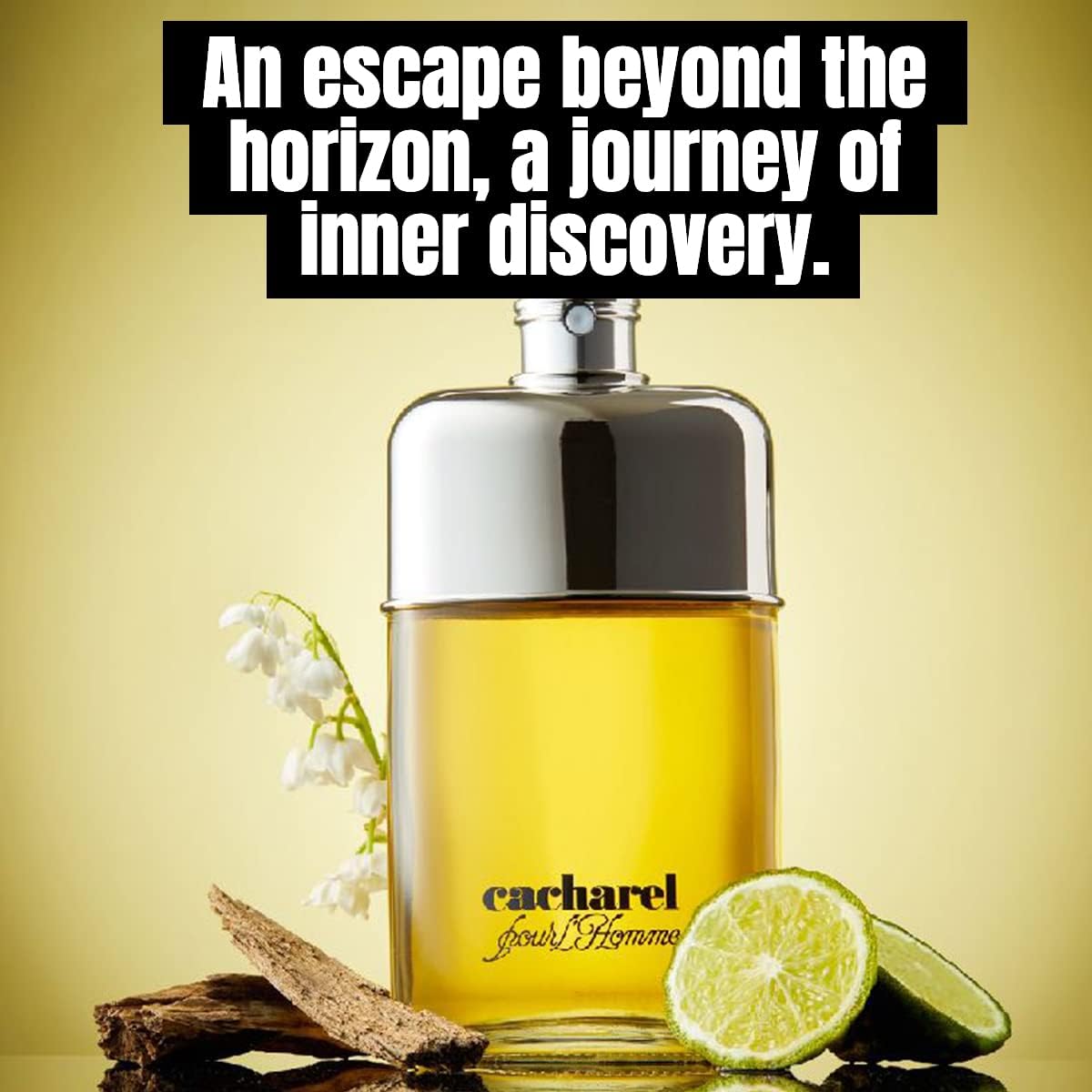 Cacharel pour l'Homme, Parfüm für Herren, Eau de Toilette mit holzigem Duft, 100 ml