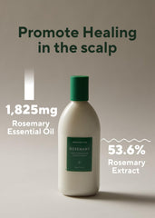 AROMATICA Rosemary Hair Thickening Conditioner 13.53oz / 400ml, Vegan