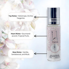 ODORZ Yara Roll On Perfume Oil for Women, Alcohol-Free, Long-Lasting Fragrance, 10 ml - Women’s Perfume, Ideal for Travel and Gifts, Perfume For Women (pack of 2)