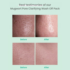 AXIS-Y Mugwort Pore Clarifying Wash Off Pack