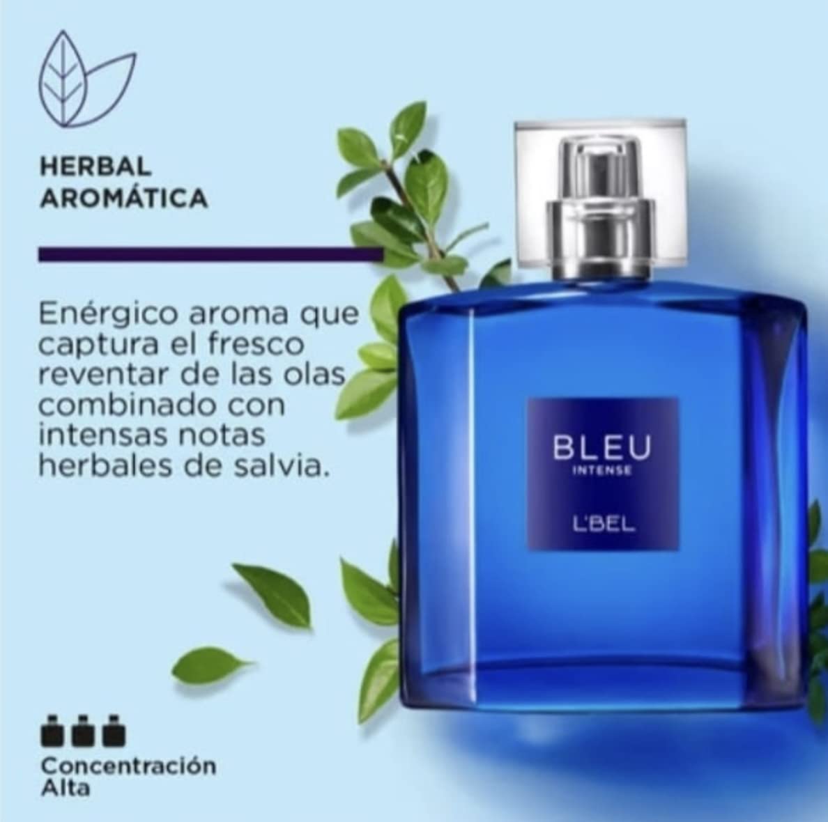 L'bel BLEU INTENSE 100ml - Fragrance for Men Eau de Toilette