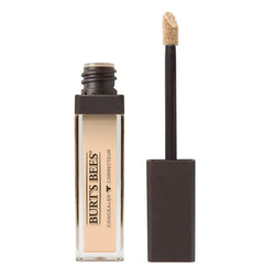 Burt's Bees Fair Concealer, 0.22 OZ