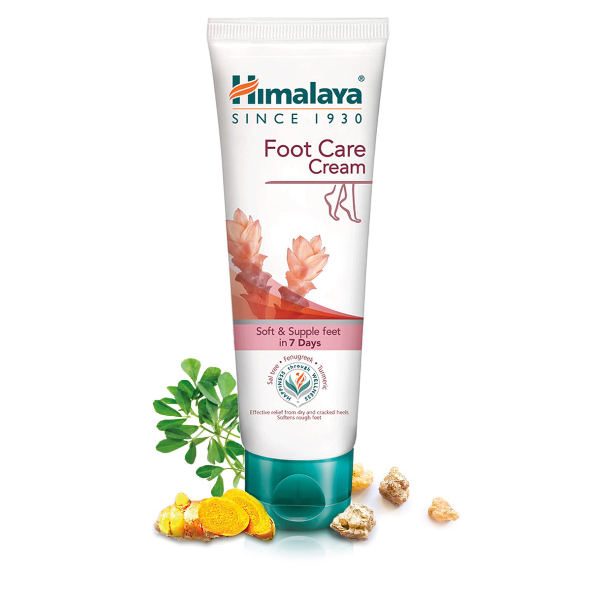 Himalaya Herbals Foot Care Cream | Dry & Cracked Heels | With antiseptic & moisturizing benefits- 75g