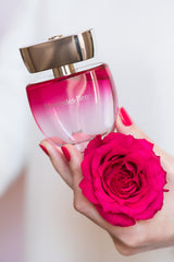 Mercedes Benz Rose