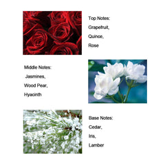 Dream Angels Wings Perfume, 50ml Pink Eau de Parfum Floral Fragrance for Women