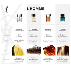 YVES SAINT LAURENT L'Homme Le Men's Eau de Perfume, 100 ml