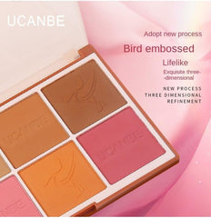 UCANBE 8-Color Blush & Contour Palette - Versatile Face Sculpting, Highly Pigmented Matte, Smooth Natural Finish, Long-Lasting Bronzer & Blush Powder. (8-Color Contour & Blush Palette, STUB083-01)