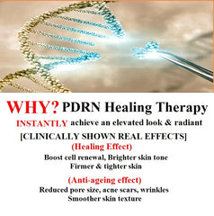WHITESILK(𝟐𝟎𝟐𝟒 𝐔𝐩𝐠𝐫𝐚𝐝𝐞𝐝) [SCM+HGF] REVIVIFY & TENSION boosting Ampoule ― EXOSOME shot, Professional use only─ For Visible De-aging and Repairing Benefits (12 vials)