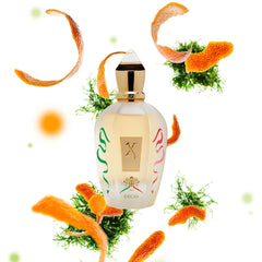 XERJOFF 1861 DECAS EDP 100ML