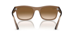 Ray-Ban Rb4428 Square Sunglasses