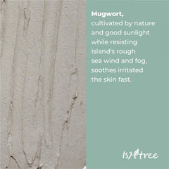 Isntree Real Mugwort Clay Mask 100ml / 3.38 fl. oz. (100ml / 3.38 fl. oz.)