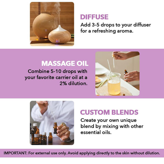 MAJESTIC PURE Lavender Essential Oil, Therapeutic Grade, Pure and Natural, Bulgarian, for Aromatherapy, Massage, Topical & Household Uses, 1 fl oz