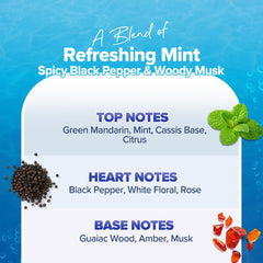 Aqualogica Refresh+ Ocean Breeze Perfume Body Mist for Women | Refreshing Aquatic Fragrance | Hydrating & Non-Irritating | Double Duty Mist For Hair & Body | Skin Friendly | 150 Ml