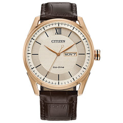 Citizen Men's Classic Eco-Drive Watch with 3-Hand Day and Date