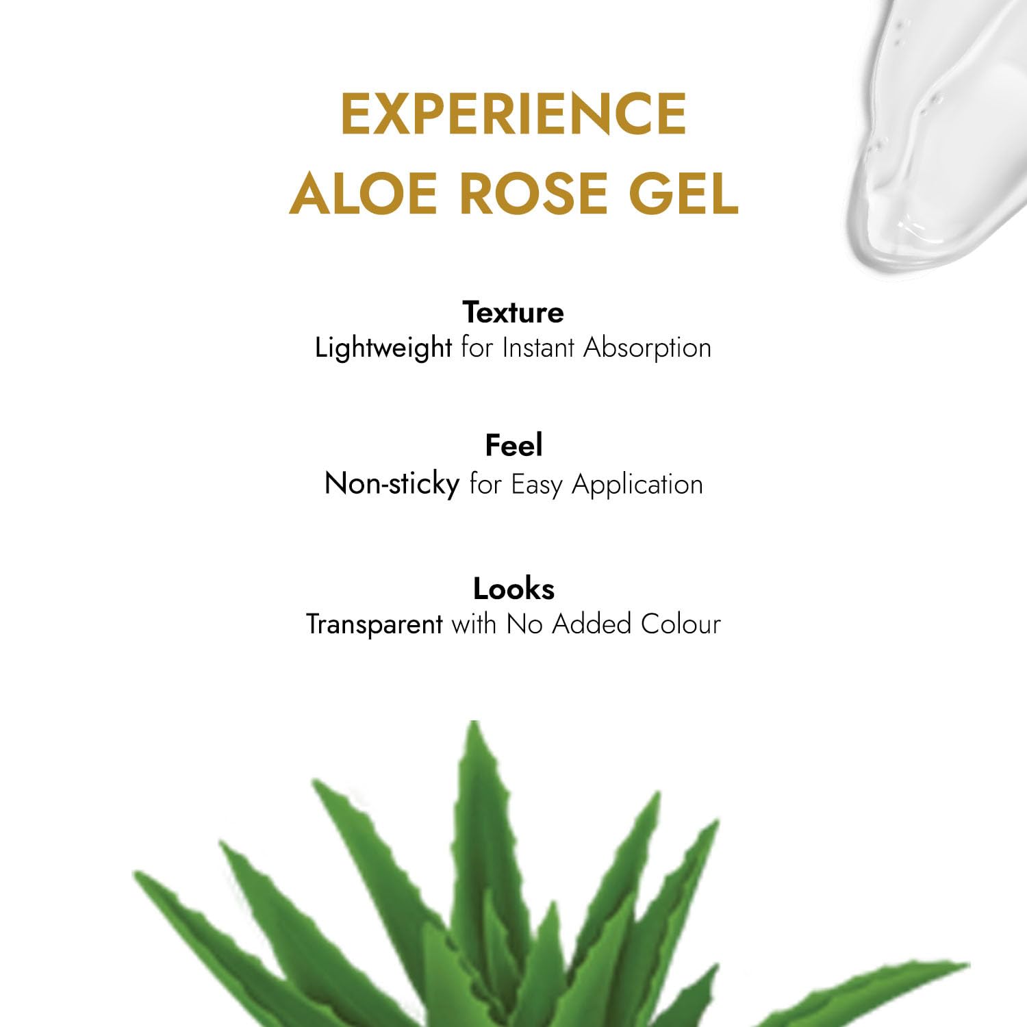 Kapiva Aloe Rose Gel 200g - After-Sun Soothing Gel for Sunburn Relief & Hydration, Clinically Tested Rose Actives, Ayurvedic Tan Minimiser