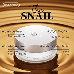 DillyDilly | Korean Skincare All in One The Snail Multi-function Recovery Cream | Face Moisturizer with Snail Mucin Extract, Anti-wrinkles, Acne Scars and Dark Spots Treatment, Made in Korea,100g
