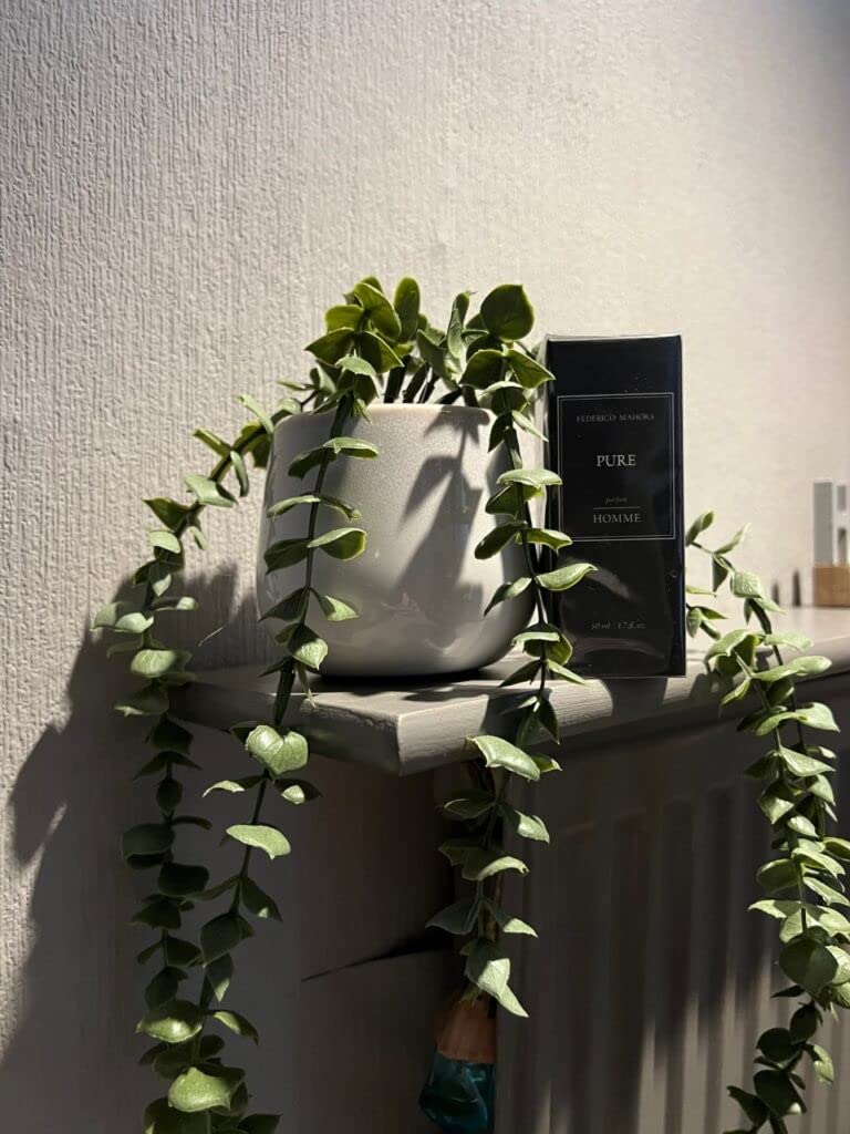 FM474 Pure Perfume for Him 50ml Federico Mahora FM 474 Eau de Parfum (50ml)