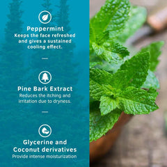 Ustraa Face Wash - Mint Cool - For Dry to Normal Skin - 100g | Reduces Moisture Loss | Removes Dirt & Dead Skin | with Pine Bark & Peppermint | NO SLS, NO PARABEN
