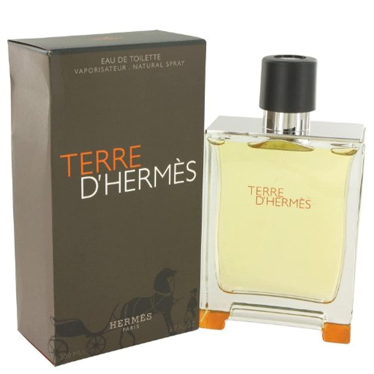 Hermes Men's Terre D Eau De Toilette (200ml)