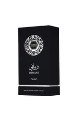 Fragrance World - Diwani Cairo - Eau de Parfum - Perfume For Men, 100ml (Aromatic)
