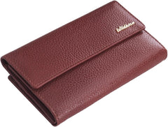 WildHorn Brown Men's Wallet - Brown Crak