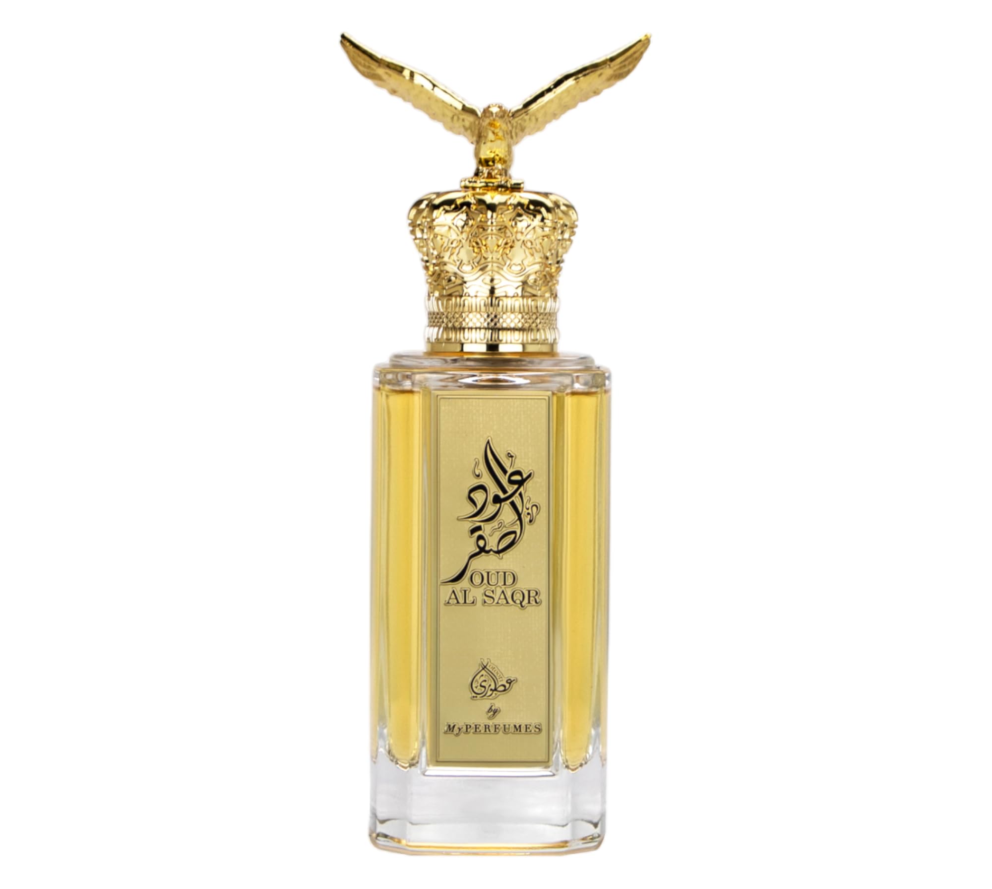 My Perfumes OUD AL SAQR from OTOORI Premium Eau De Parfum for Men and Women Long Lasting Arabian Perfume, 100ml