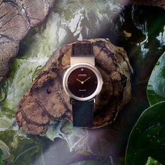 Citizen Women's Analogue Eco-Drive Watch with a Leather Band