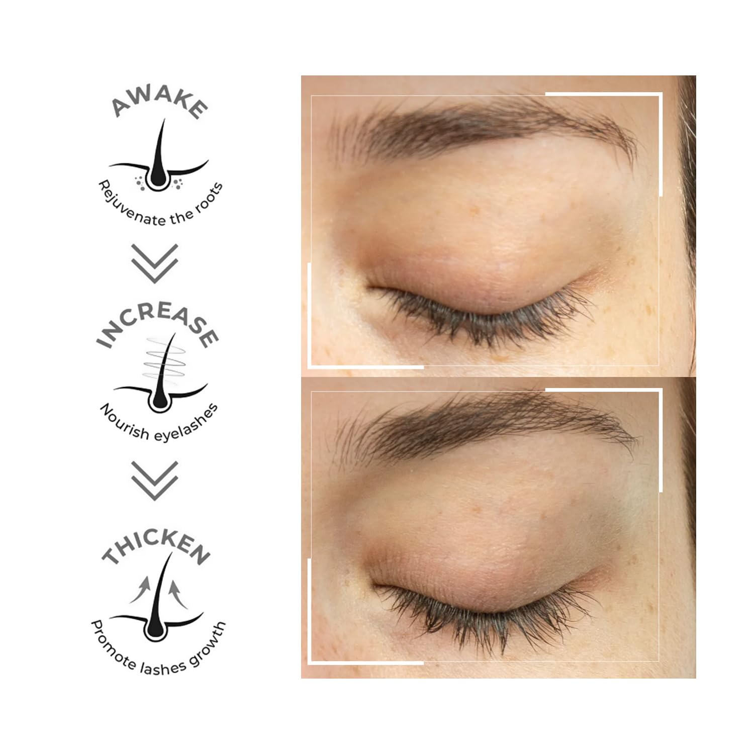 RAWLS Eyebrow & Eyelash Growth Serum - Natural & Organic Formula for Longer, Thicker Lashes & Brows - Nourishing with Castor Oil for eyelashes and eyebrows, Almond Oil and Vitamin E & C - 5 ml