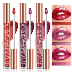 LANGMANNI Hyaluronic Acid Lip Gloss Set 3Pcs,Shimmer & Long Lasting Smooth Texture Gloss For Lips Plumping,Moisturizing And Brightening