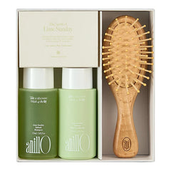 ANILLO Lime Sunday Refresh Hair Shampoo & Conditioner with Brush Set - Deep Cleansing & Damage Repair Korean Hair Care with Tangerine, Proteins & Ceramides - Silicone & Sulfate Free (2EA, 1.85 fl oz)