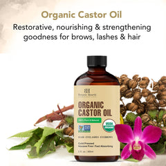 Botanic Hearth Castor Oil | 60 ml | USDA Certified Organic |100% Pure & Hexane Free | Cold Pressed | Growth for Eyelashes, Eyebrows, Hair | With Eyebrow & Eyelash Brush