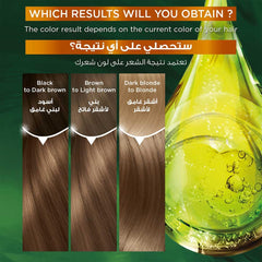 Garnier Color Naturals 8 light blonde Haircolor