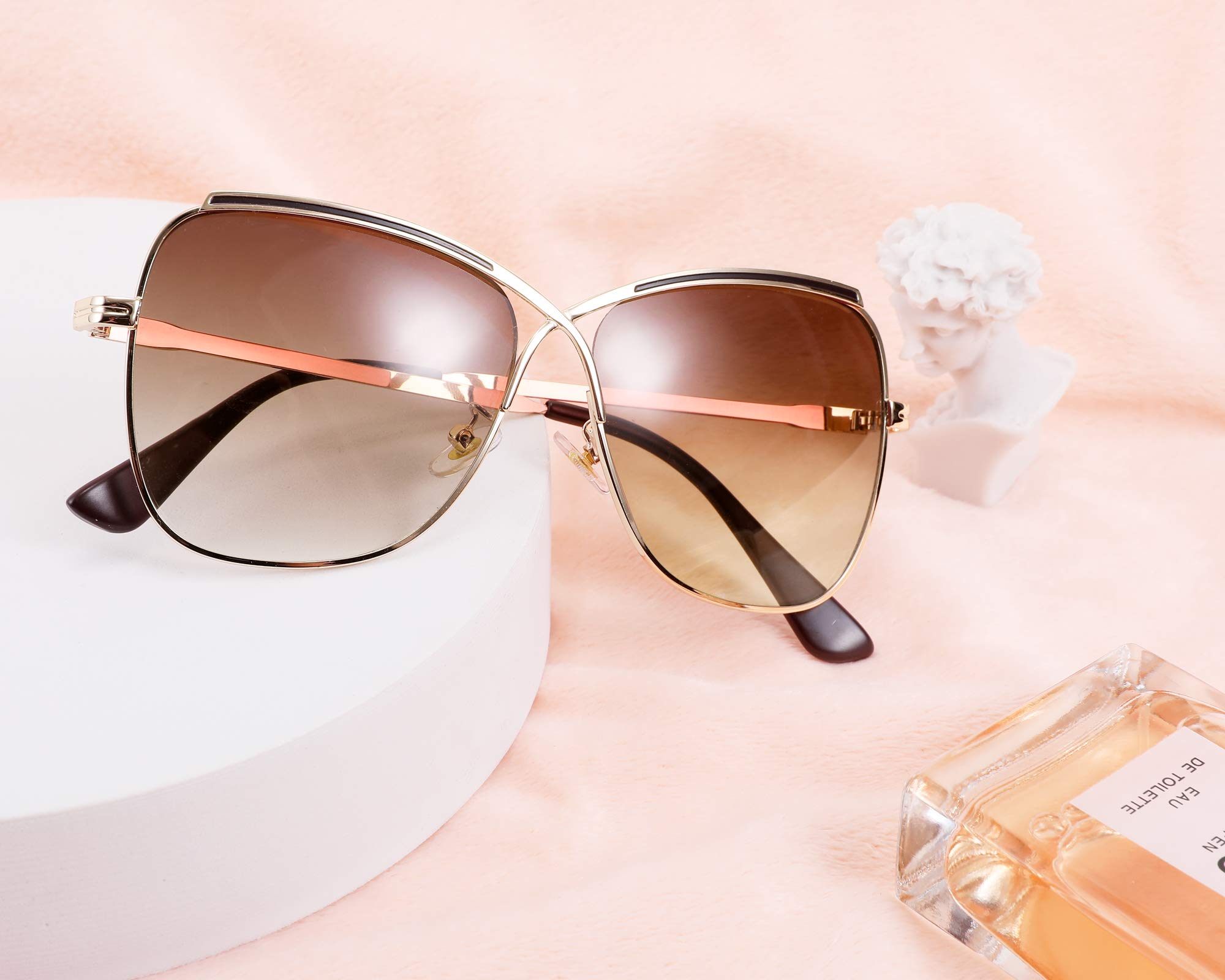 FEISEDY Womens Pilot Sunglasses Oversized Butterfly X Shape Design Cateye Cute Lady Sunglasses B2738