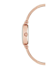 Anne Klein Womens Quartz Watch, Analog And Stainless Steel- AK-2216BLRG