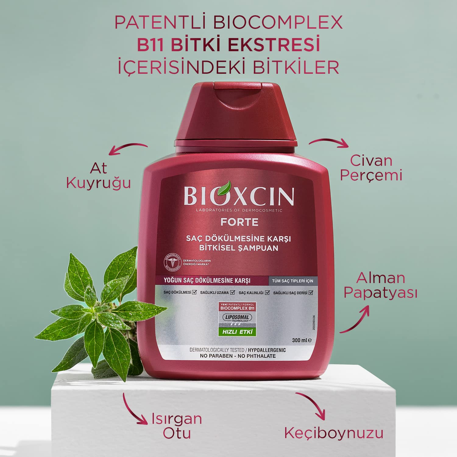 Biocomplex BIOXCIN SHAMPOO FOR INTENSIVE HAIRLOSS 300ML With BioComplex B11 ...