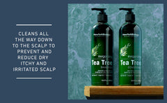 Anti Dandruff Tea Tree Oil Conditioner – Deep Cleanser – Relief for Dandruff and Dry Itchy Scalp – Therapeutic Grade - Helps Promote Hair Growth – 16.9 fl Oz