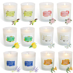 Toworld Scented Candles Gift Set, 12 PCS White Glass Candles, Natural Soy Wax 2.5 Oz Portable Aromatherapy Candles Women Gift with Stress Relief and Aromatherapy for Holiday, Bathing, Home Decoration
