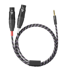 FiiO Trust Series LX 4.4ML 4.4mm Male to Dual XLR3 Female Balanced Audio Cable, Silver Plated OFC Interconnect Cable for DAC/Amp, DAP, CD Players, Active Speakers and Power Amplifiers 2.3ft/70cm