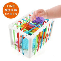 Jenilily Baby Shape Sorting Toy, Cube with 14PCS Sensory Shape Blocks, Sensory Bin Shape Sorter Toys Early Learning Education Toys for Toddlers Babies Gifts