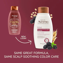 Aveeno Color Protect Strengthen+ Blackberry Quinoa Shampoo, Fresh, 12 Fl Oz