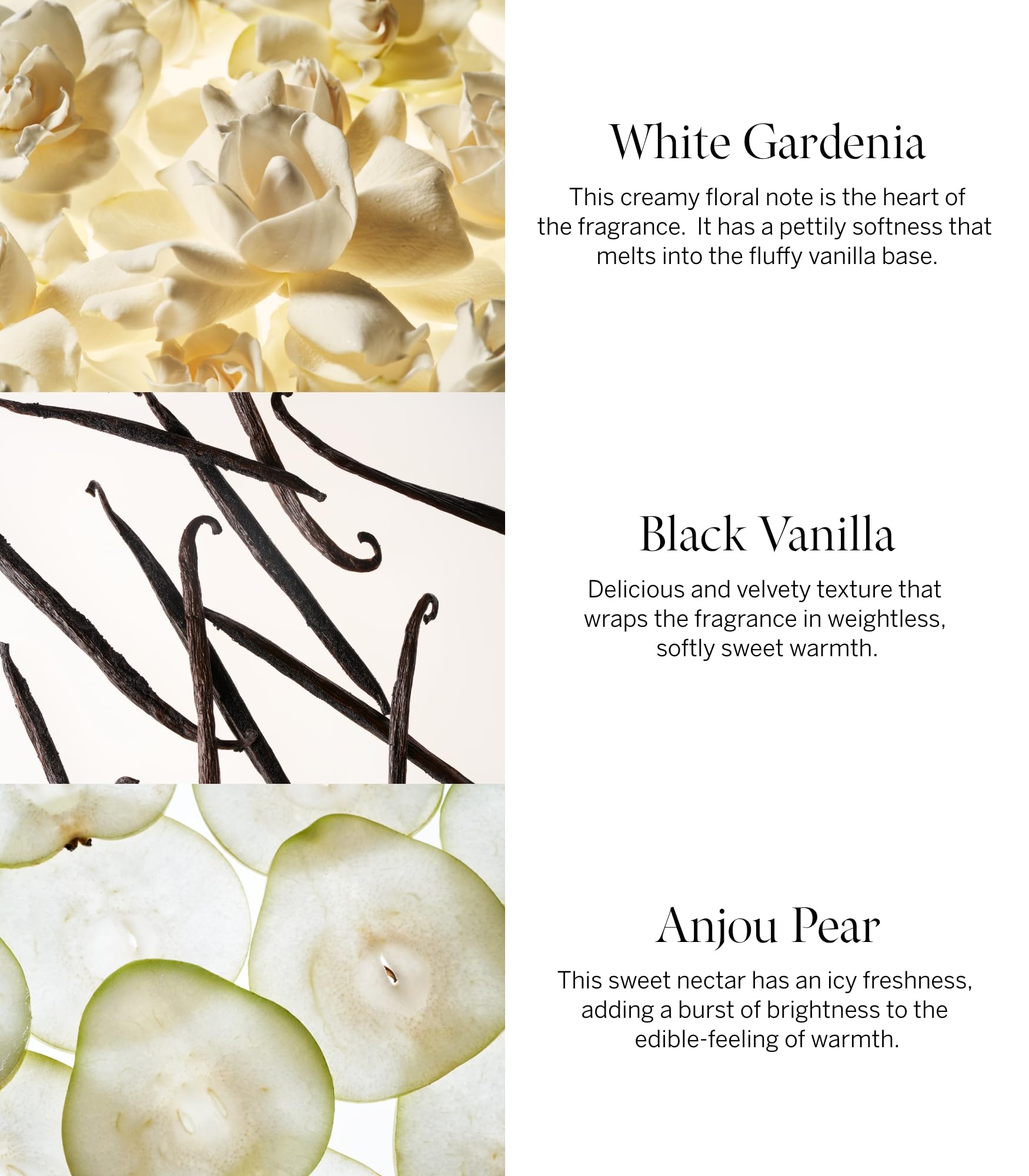 VICTORIA'S SECRET Tease Perfume For Women, 100 ml