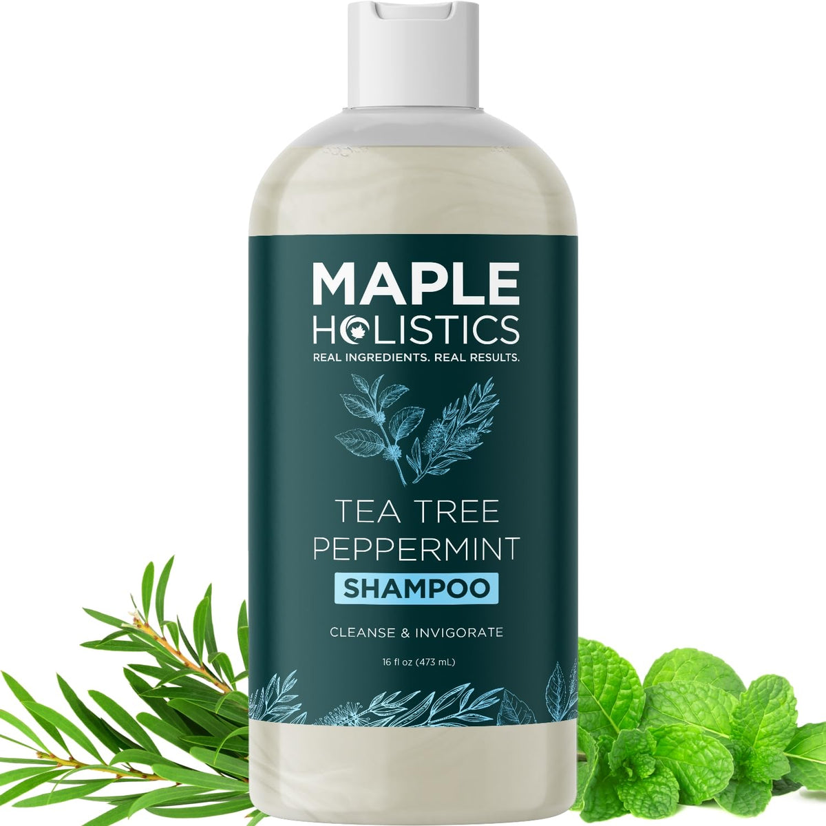 Tea Tree Oil Shampoo for Men Women Teens with Itchy Dandruff and Dry Skin Sulfate Free Natural Anti Dandruff Shampoo Safe for Color Treated Hair with Rosemary Lavender Jojoba and Argan Oils (16 oz)