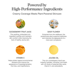 Ogee Complexion Perfecting Liquid Foundation - Lightweight Tinted Moisturizer For Face (Banyan 2.75W - Light Medium, Warm-Peach Undertones) - with Vitamin C & Jojoba Oil - Certified Organic