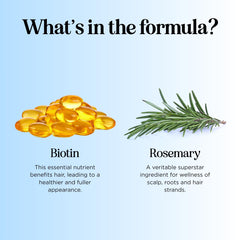 Shampoo for Thinning Hair and Hair Loss - Volumizing Biotin Shampoo for Hair Growth with Rosemary Argan Oil and Evening Primrose Oil - (236 ml (Pack of 1)) (273 mL)