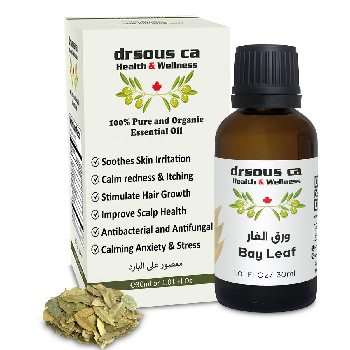 Drsous Ca Organic Bay Leaf Oil 30ml | 100% Pure Cold Pressed Essential Therapeutic Grade Oil for Hair Growth, Ache Free Body and Muscle Massage | Made in Palestine