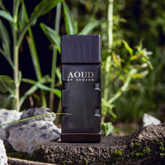 ZUOFUN Perfume AOUD For Men Eau De Parfum,100ML