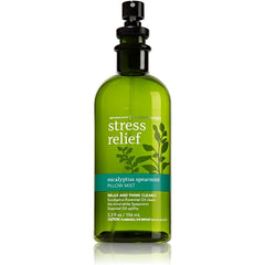 Bath & Body Works Aromatherapy Pillow Mist Eucalyptus Spearmint 5.3 Fl Oz