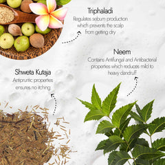 Kapiva Dandruff Control Neem Triphaladi Shampoo | Helps to reduce mild to heavy dandruff in 1 month