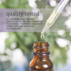 NOW Solutions Rosemary Oil 1 oz 100% Pure